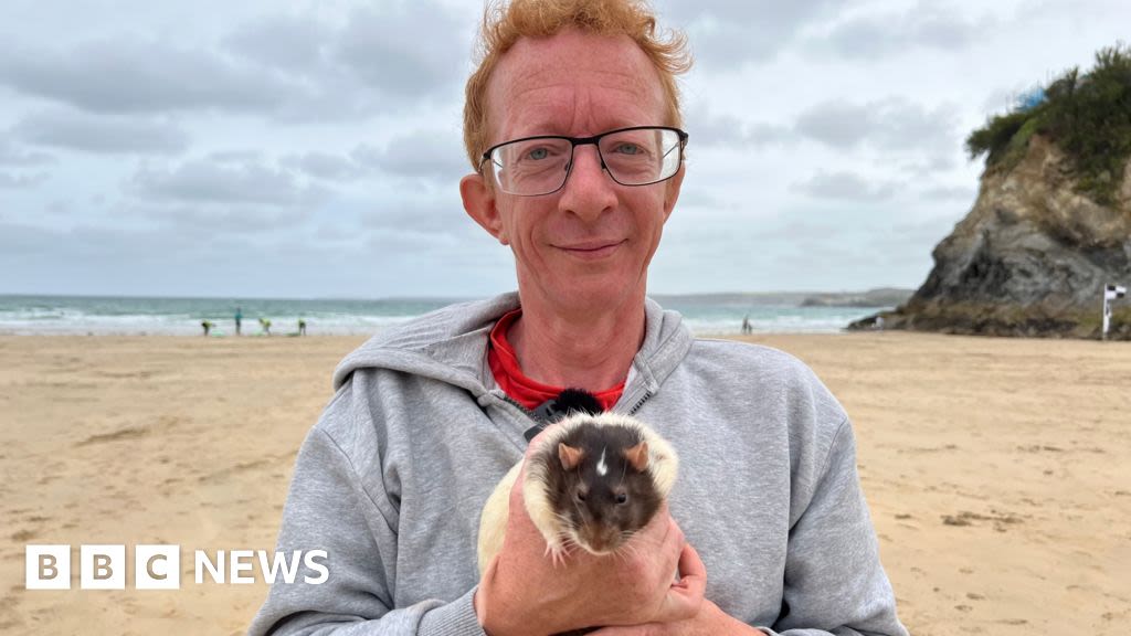 Newquay rat man on mission to end rodent stigma