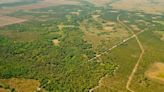 Florida's Wildlife Corridor protects state from floods, fires, climate change, study says