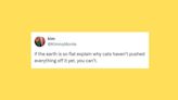 24 Of The Funniest Tweets About Cats And Dogs This Week (Mar. 2-8)