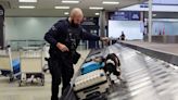 How the Canada Border Services Agency’s sniffer dogs strive to outwit drug smugglers