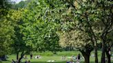 Police make major discovery in Cardiff park full of families and children