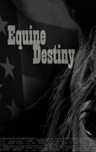 Equine Destiny