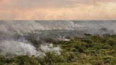 Experimento científico da UFMS no Pantanal causou incêndio acidental em reserva privada, diz laudo