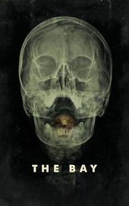 The Bay (film)