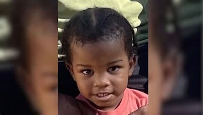 CPD searching for a critically missing 2-year-old last seen on Apex Rd. and Meritas Dr.