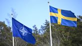 駐台代表又出缺引發在台僑民不滿 外交部：盼與瑞典關係有更進一步發展