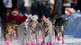 Alaska's 52nd annual Iditarod sled dog race mushes to starting line