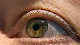 Perda gradual da visão pode ser um sinal precoce de demência, como Alzheimer, aponta estudo
