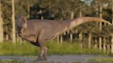 “Koleken inakayali”: así era el dinosaurio carnívoro de cinco metros de largo que fue descubierto en la Patagonia