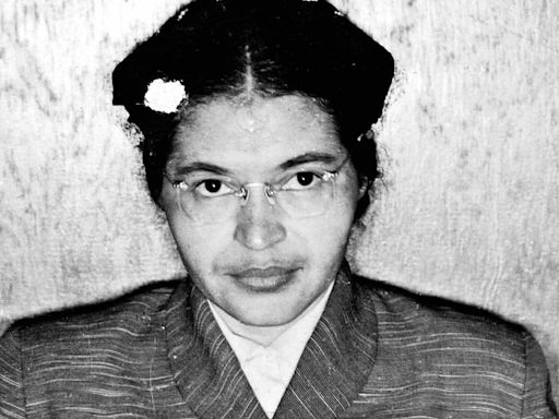 Shoppers in hysterics over $165 bikini dedicated to Rosa Parks