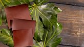 Material World: Leather from Leaves, Circ Partners with Pyratex
