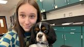 Cómo un perro ayudó a una estudiante a volver a la escuela tras tiroteo en secundaria de Michigan