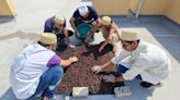 UAE: How youngsters are brewing date seeds into a coffee substitute