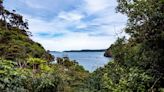 An Adventurer’s Paradise: Everything to Know About New Zealand’s Stewart Island