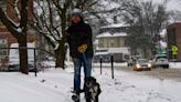 Hardy souls across New England shoveling out after major snow storm