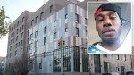 Vicious pit bull grabs owner’s jugular, mauls him to death in NYC apartment