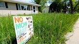 Dubuque area residents embrace 'No Mow May'