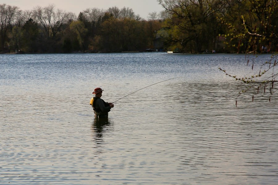 Angling in WNY? Throw these fish back for now