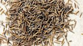 How Wild Rice Forecasts Climate Change