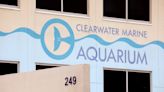 Dolphin deaths not due to Clearwater aquarium conditions, report says