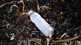 Billions of bottles: Canadian statistics paint grim picture of plastic litter problem