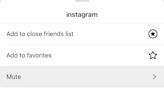 Following an annoying account? Here is how to mute someone on Instagram