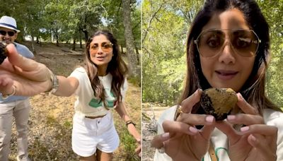 Like Shilpa Shetty's "Delicious Adventure" In Tuscany, Tick Off Truffle Hunting From Your Travel Bucket List