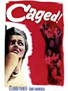 Caged (1950 film)