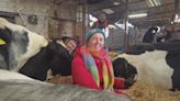 Feeling stressed? This UK farm allows you to cuddle cows to relieve your anxiety