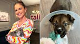 Natalie Morales Rescues a Blue-Eyed Puppy on 'The Talk'