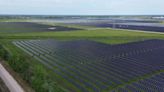 Photovoltaïque : Horizeo, le projet de méga centrale solaire dans les Landes, enterré par le gouvernement