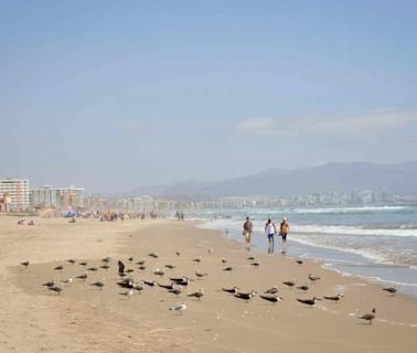 Estos son los feriados y fines de semana largo que trae mayo