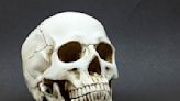 Goodwill Staff Horrified to Find Human Skull in Donation Box