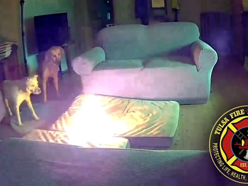 Video shows dog chewing cellphone battery pack, igniting fire in Oklahoma home