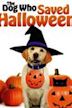 The Dog Who Saved Halloween