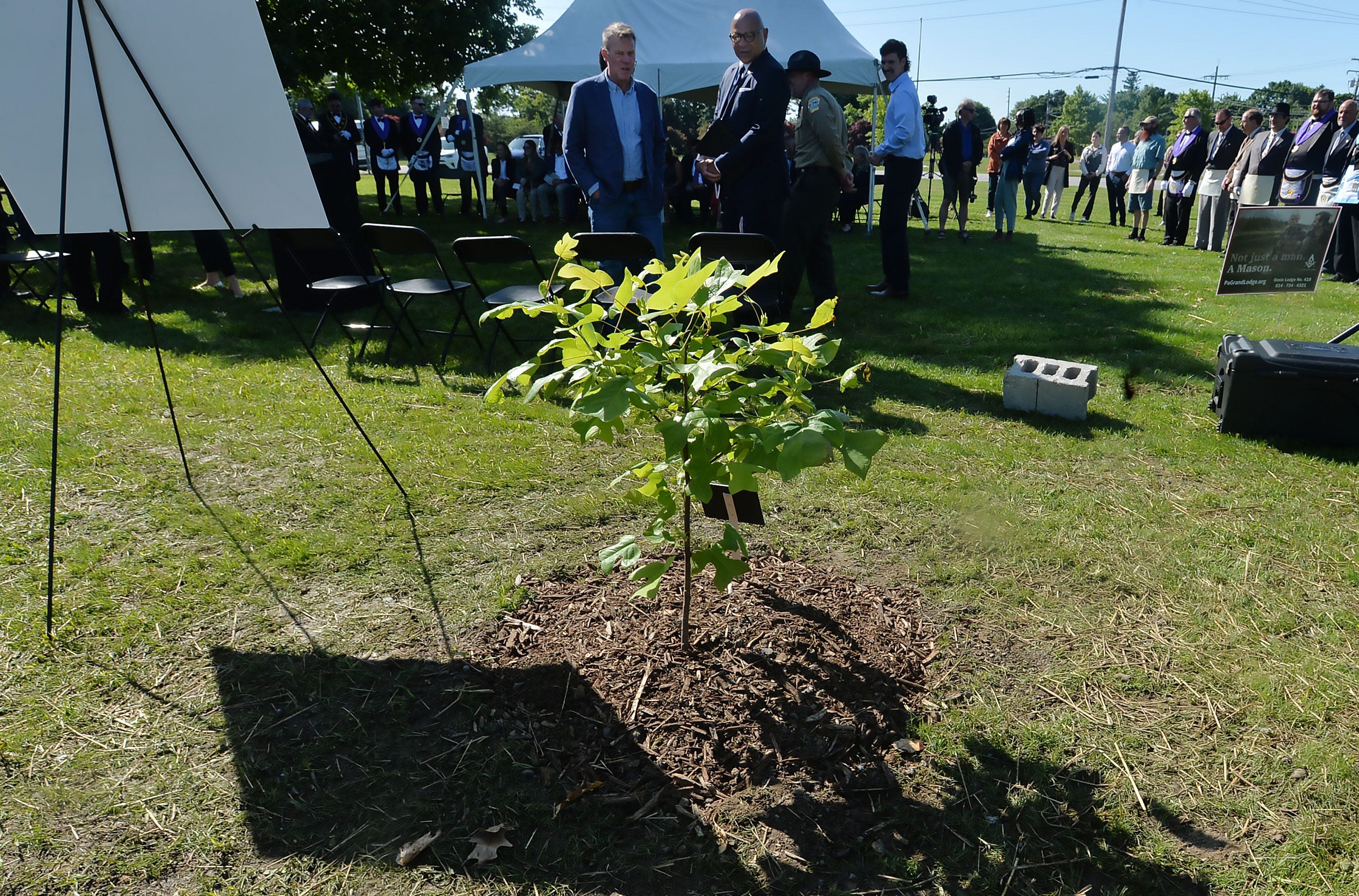 Liberty Tree planted at Presque Isle Gateway near Erie marks US 250th anniversary in 2026