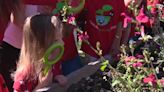 Natomas preschoolers release ladybugs to celebrate Earth Day