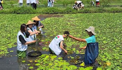 信義房屋推綠色生態 攜志工助美濃湖水雉復育