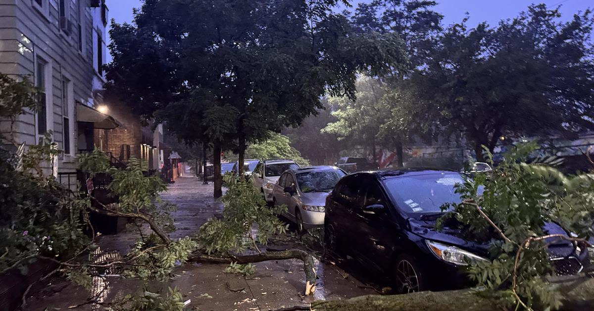 2 tornados touched down in Chicago on Sunday, one in west suburbs, NWS says