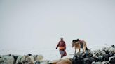 Severe weather kills 4.7 million Mongolian livestock