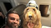 I fly with my dog Brodie the Goldendoodle all over the world. We pretty much always sit in first class.