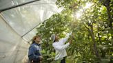 As the drought persists, one enchanted garden at the foot of the Sierra tends to people