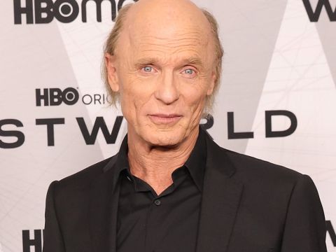 The Ploughmen: Ed Harris to Direct Neo-Noir Movie With Bill Murray, Nick Nolte