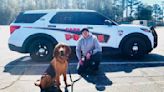 Cary Police add first Bloodhound to K-9 unit