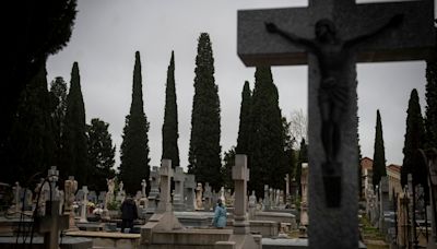 Los cipreses y su relación con los cementerios