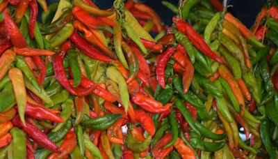 What Makes Hatch Chiles So Special?