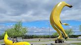 Big Banana Car to visit downtown Texarkana | Texarkana Gazette