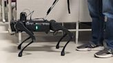 Scientists Have Created a Robotic Seeing Eye Dog
