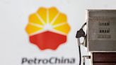 PetroChina buys EV charging firm Potevio New Energy
