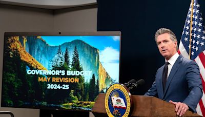 Walters: Newsom’s proposed spending cuts spur backlash from affected California groups